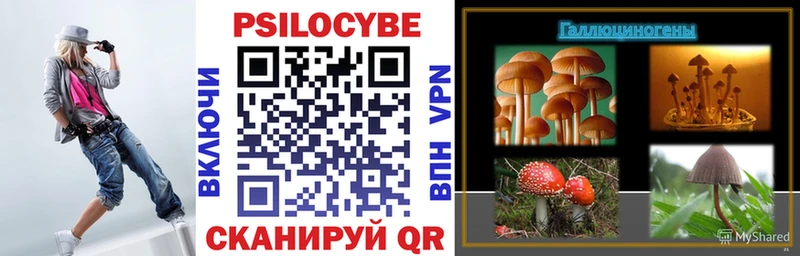 Псилоцибиновые грибы мицелий Подпорожье